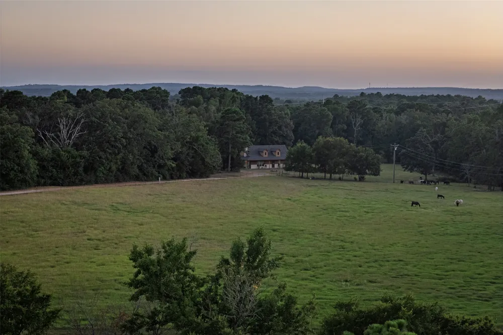 12701 FM 2010 Chandler, TX 75758