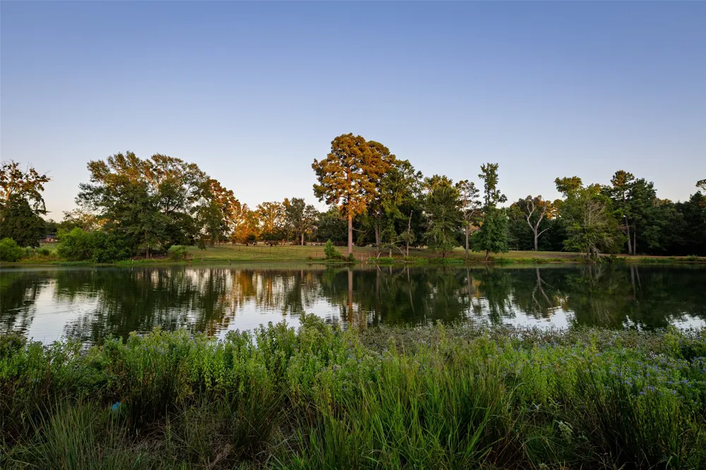 12701 FM 2010 Chandler, TX 75758