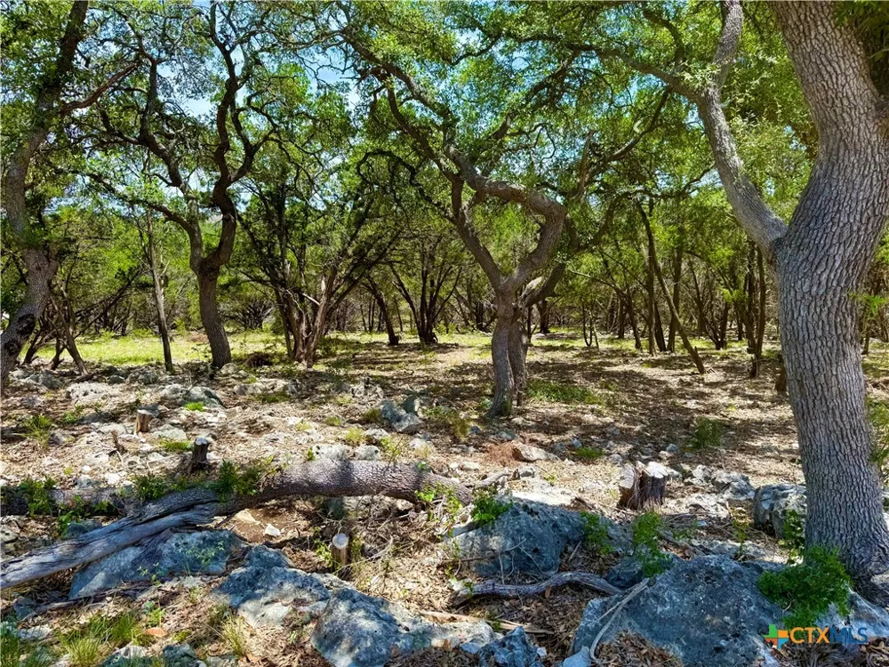 5663 Basilone Ridge New Braunfels, TX 78132