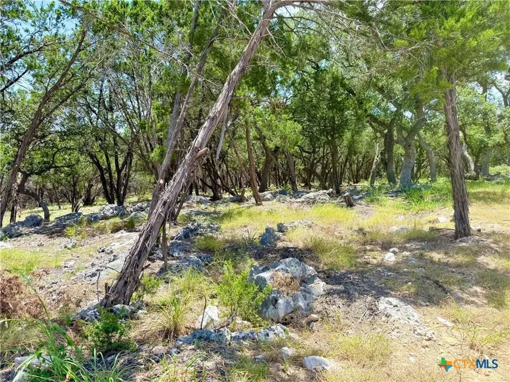 5663 Basilone Ridge New Braunfels, TX 78132