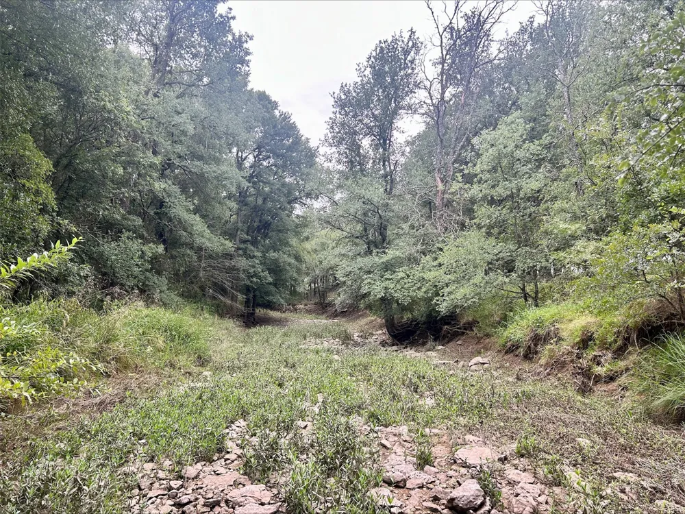 County Road 380 Dublin, TX 76446
