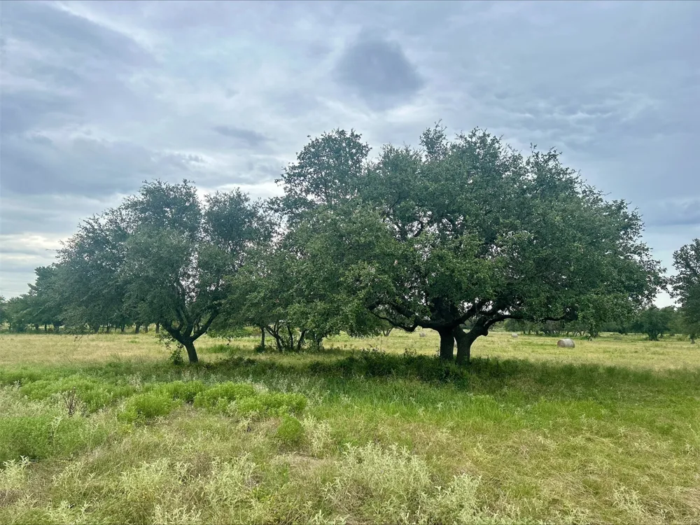 County Road 380 Dublin, TX 76446