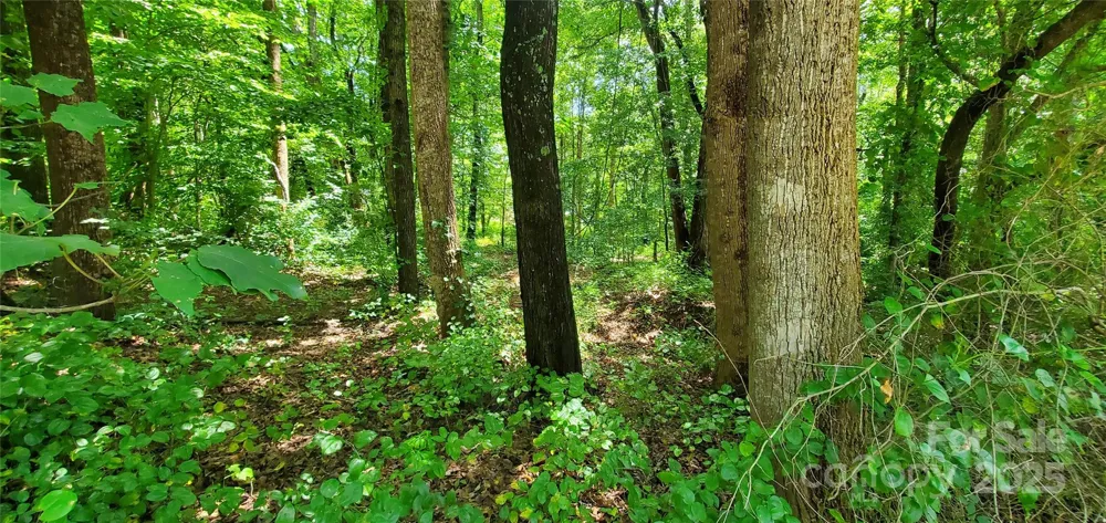 3939 US 64 Highway W #5 Mocksville, NC 27028