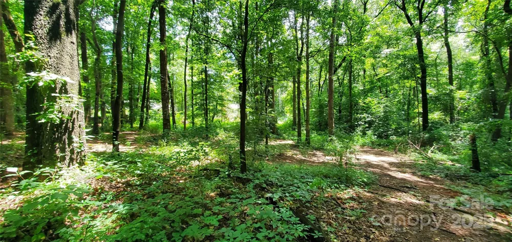 3929 US 64 Highway W #7 Mocksville, NC 27028