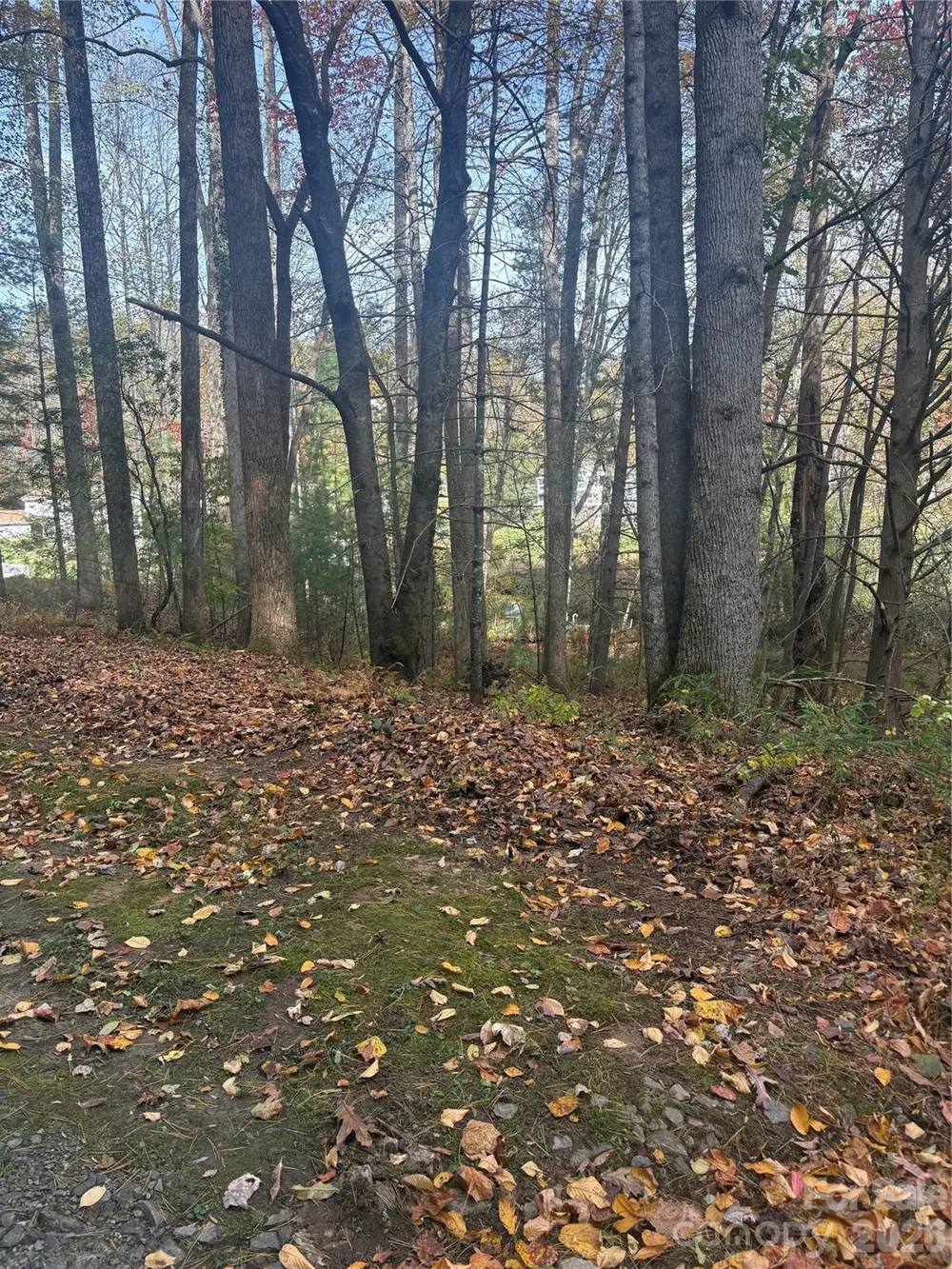 BL-A Club House Court #BL-A Brevard, NC 28712
