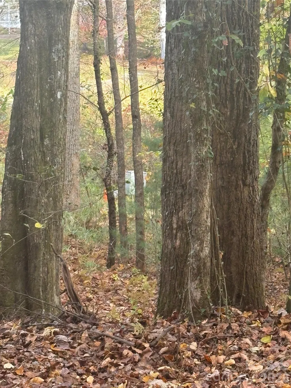 BL-A Club House Court #BL-A Brevard, NC 28712