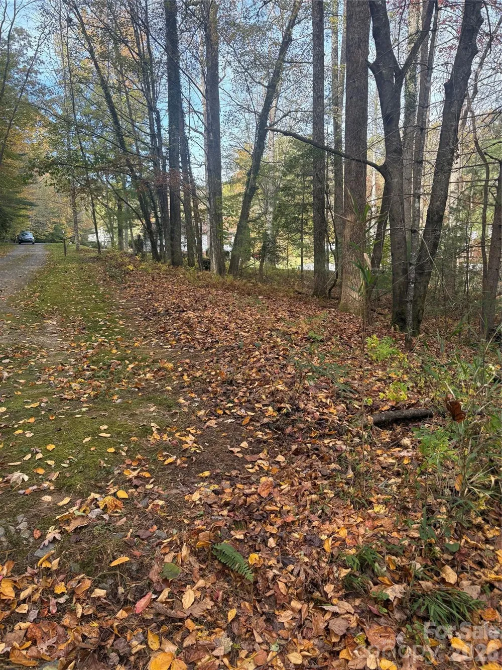 BL-A Club House Court #BL-A Brevard, NC 28712