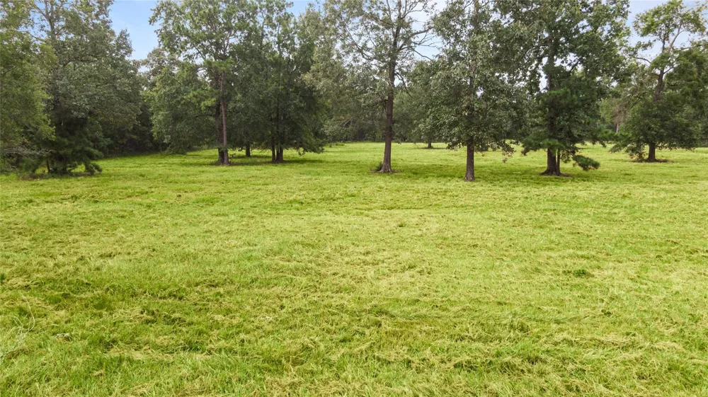 Turtle Road Wallisville, TX 77597