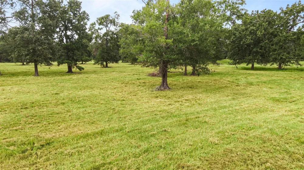 Turtle Road Wallisville, TX 77597