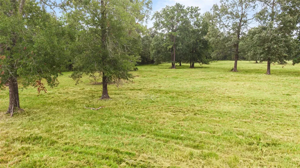 Turtle Road Wallisville, TX 77597