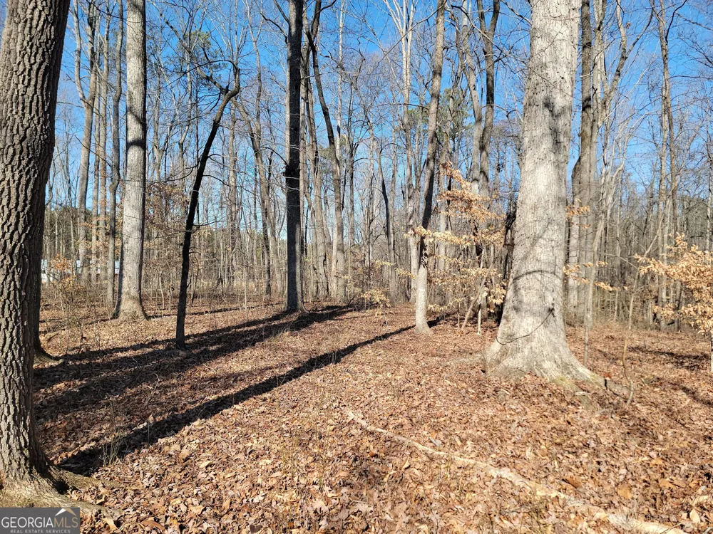 1855 S Flat Rock RD Douglasville, GA 30134