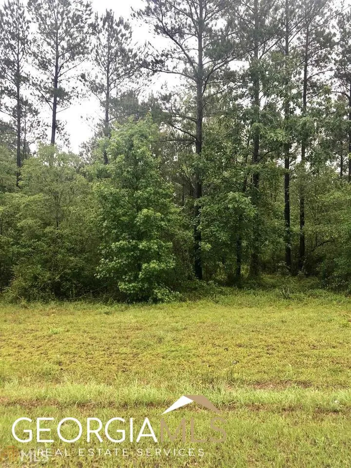 0 Apalachicola TRL Dublin, GA 31021