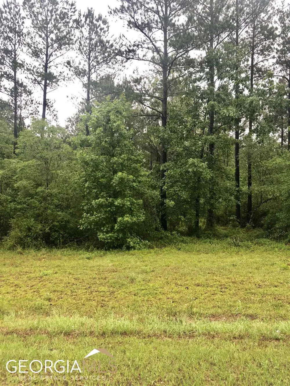 0 Grey Wolf TRL Dublin, GA 31021