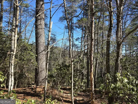 45K Blue Ridge