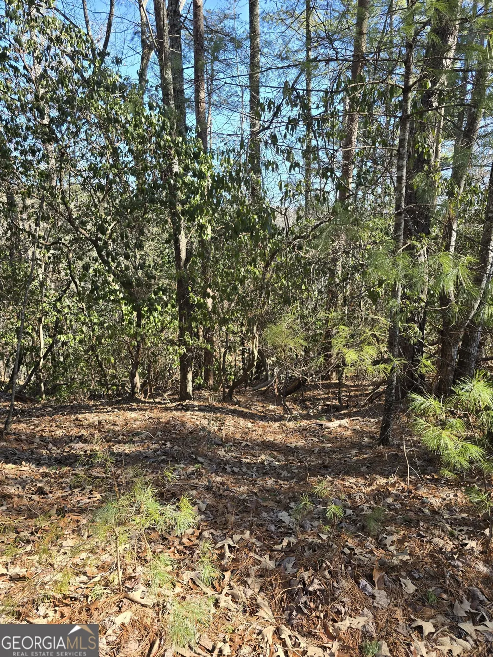 45K Blue Ridge Sautee Nacoochee, GA 30571