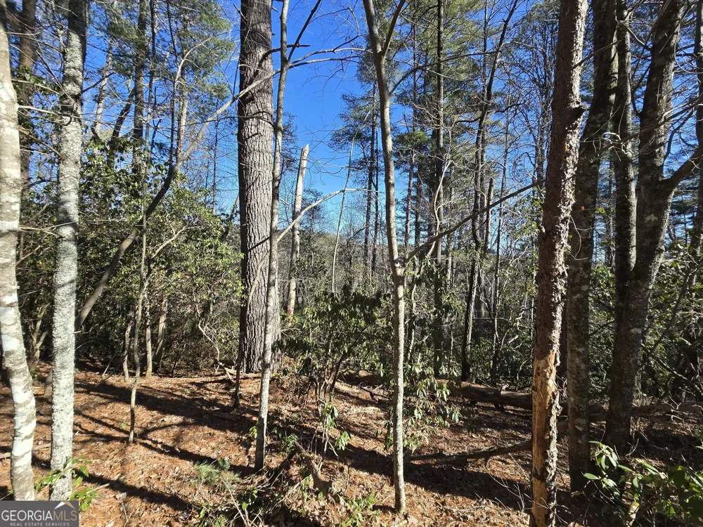 45K Blue Ridge Sautee Nacoochee, GA 30571