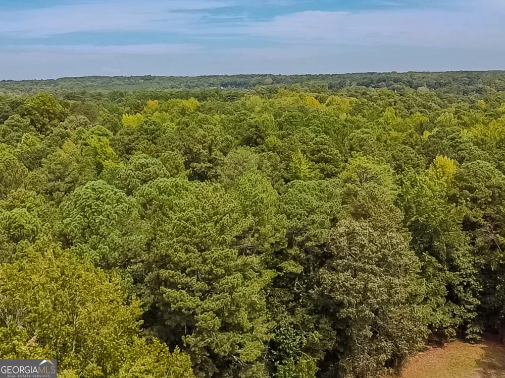 1152 Harbins RD Dacula, GA 30019