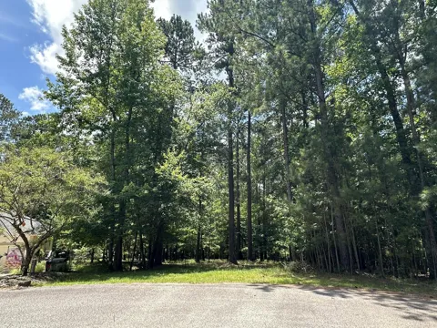 156 COLLEEN PLACE