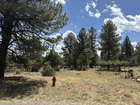 326 Bear Cub Drive