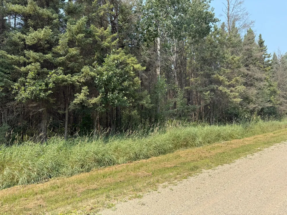 TBD 80 Acres Sunflower Road NE Kelliher, MN 56650