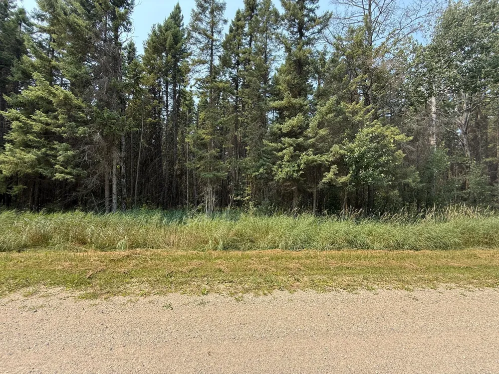 TBD 80 Acres Sunflower Road NE Kelliher, MN 56650