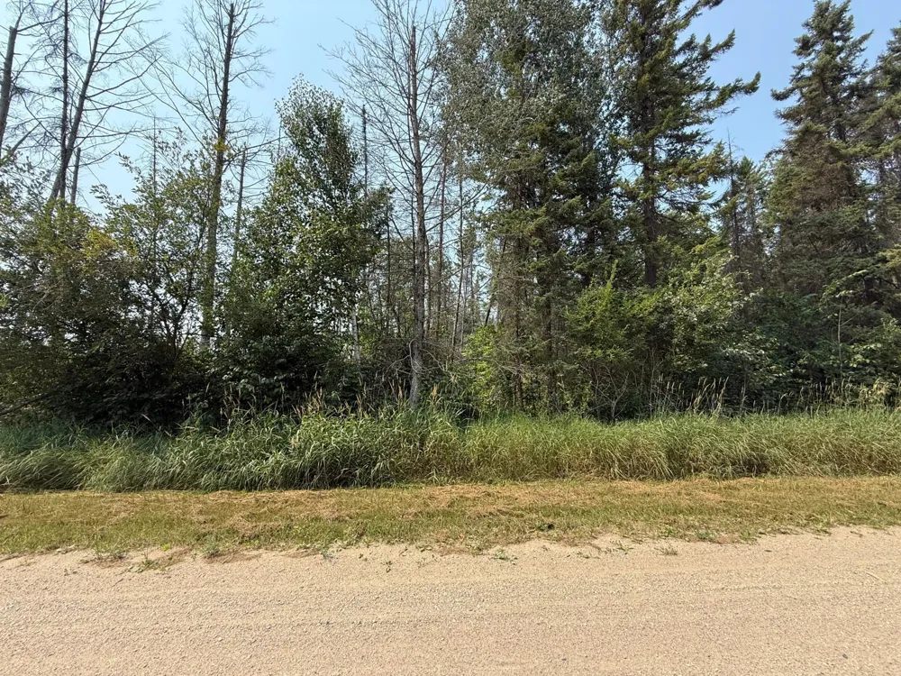 TBD 80 Acres Sunflower Road NE Kelliher, MN 56650