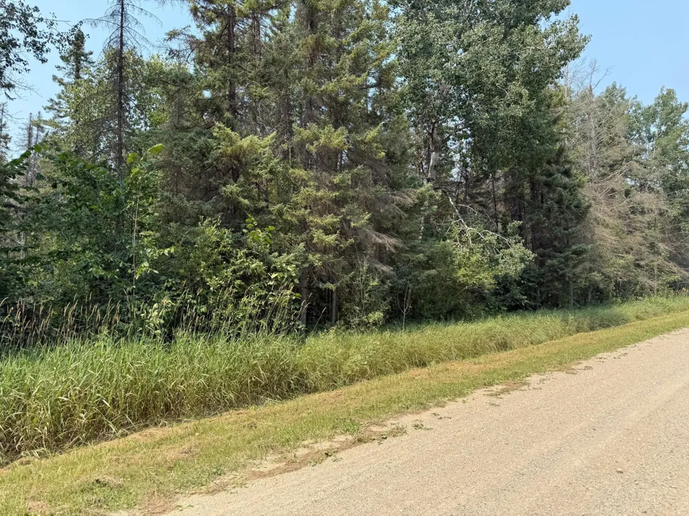 TBD 80 Acres Sunflower Road NE Kelliher, MN 56650