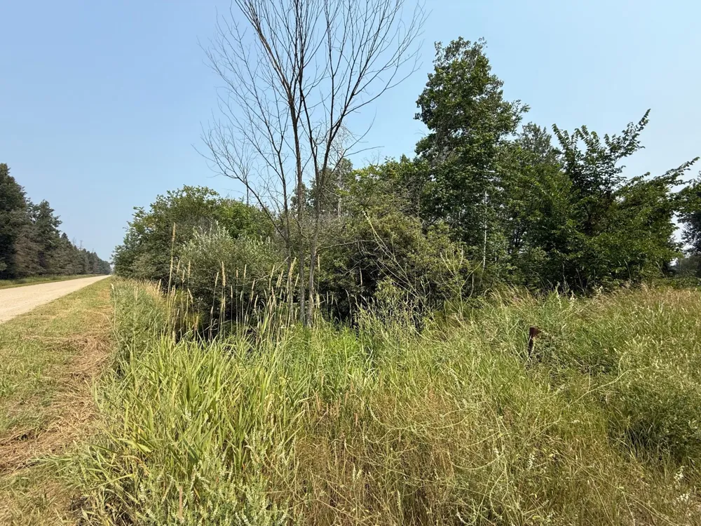 TBD 80 Acres Sunflower Road NE Kelliher, MN 56650