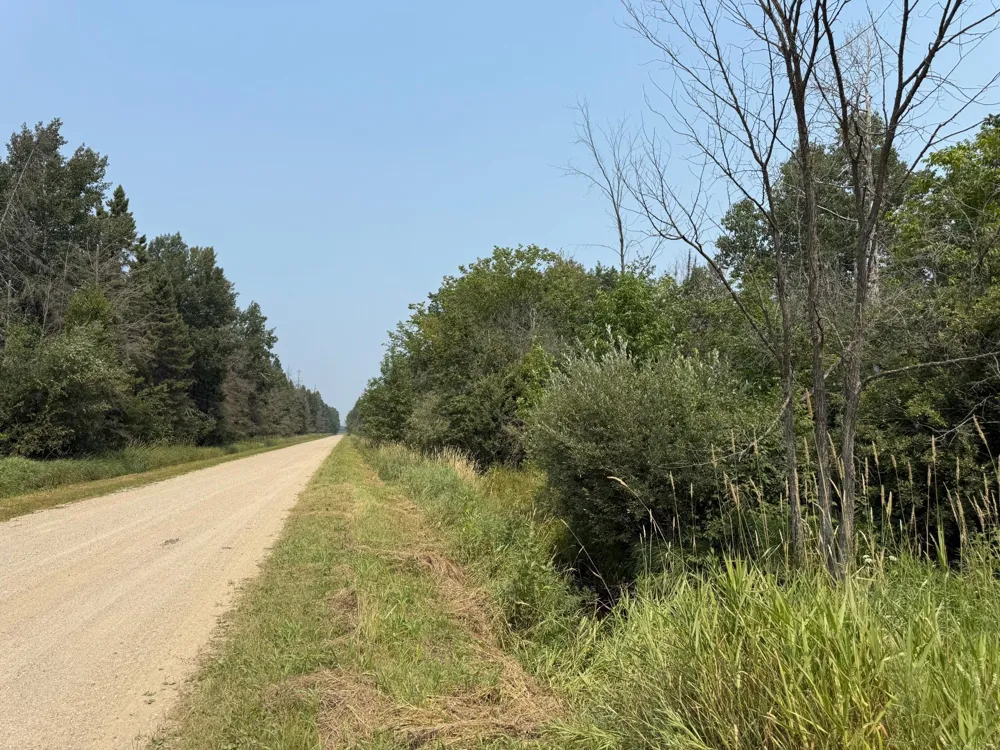 TBD 80 Acres Sunflower Road NE Kelliher, MN 56650