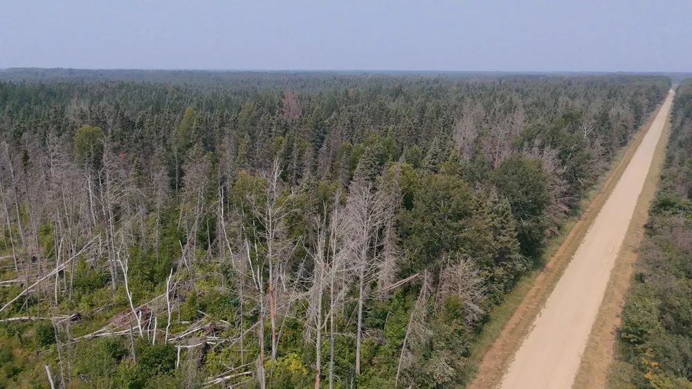 TBD 80 Acres Sunflower Road NE Kelliher, MN 56650