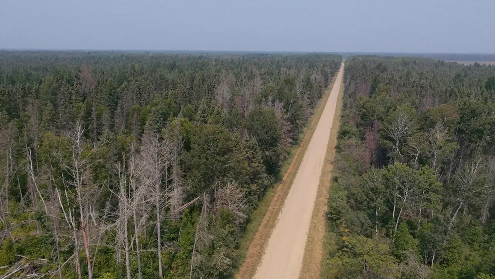 TBD 80 Acres Sunflower Road NE Kelliher, MN 56650
