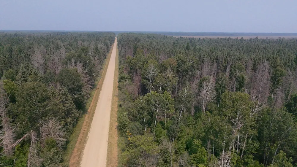 TBD 80 Acres Sunflower Road NE Kelliher, MN 56650