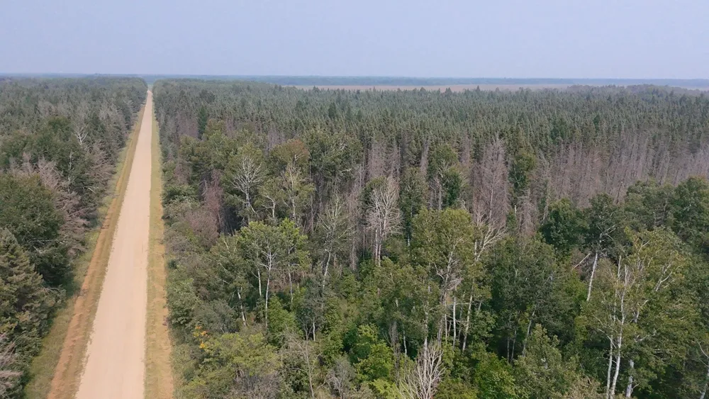 TBD 80 Acres Sunflower Road NE Kelliher, MN 56650