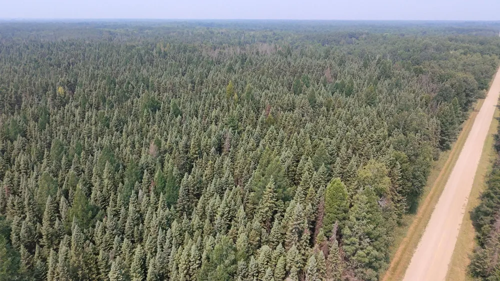 TBD 80 Acres Sunflower Road NE Kelliher, MN 56650