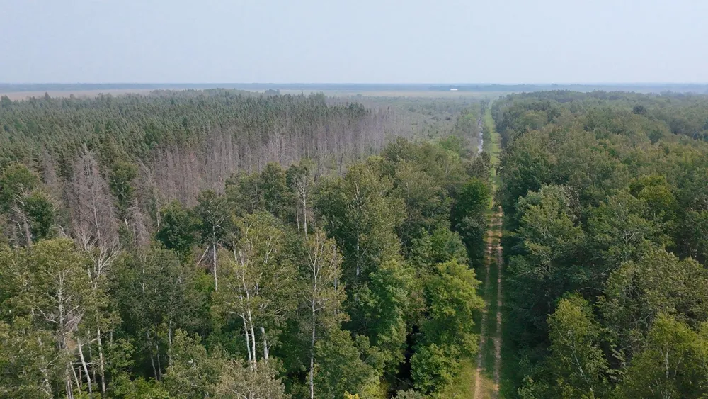 TBD 80 Acres Sunflower Road NE Kelliher, MN 56650