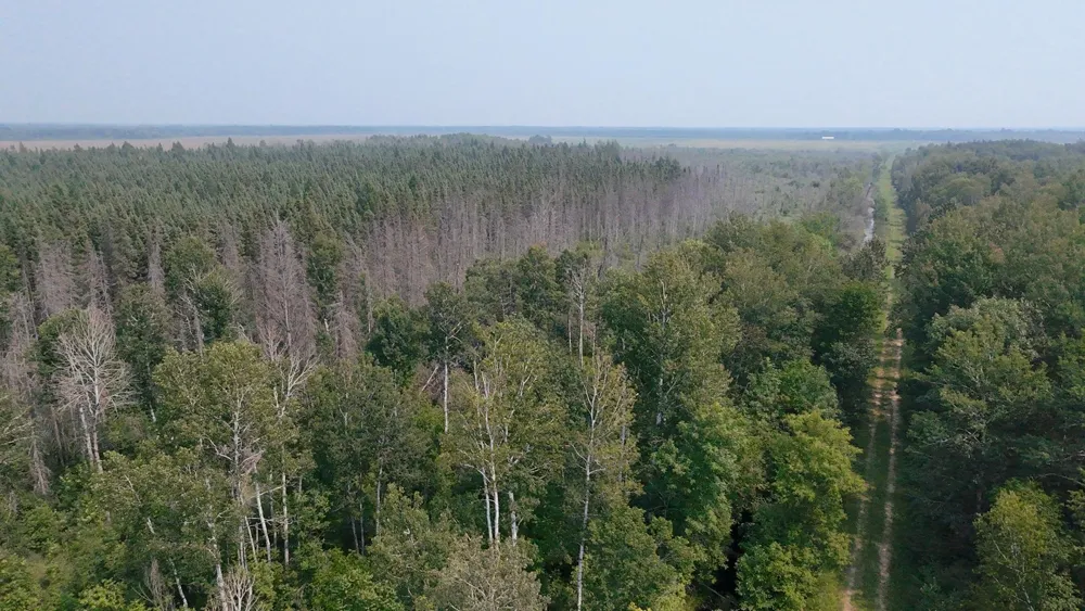 TBD 80 Acres Sunflower Road NE Kelliher, MN 56650