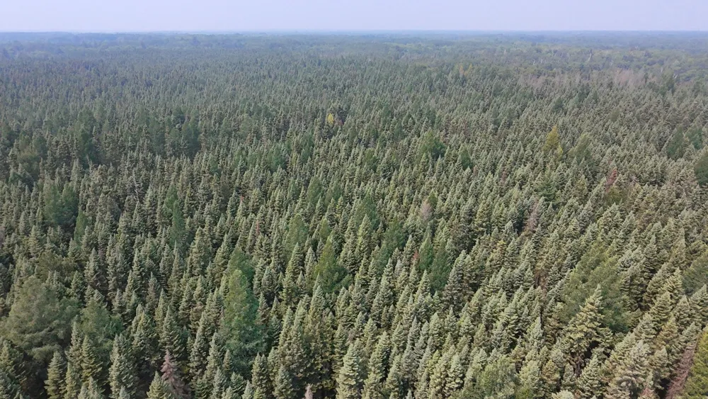 TBD 80 Acres Sunflower Road NE Kelliher, MN 56650