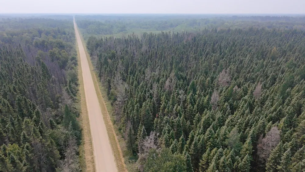 TBD 80 Acres Sunflower Road NE Kelliher, MN 56650