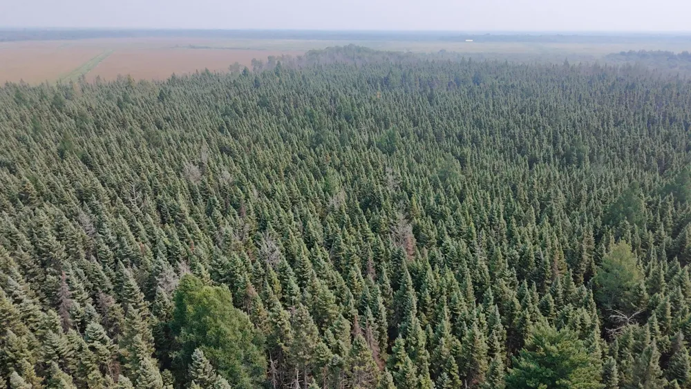 TBD 80 Acres Sunflower Road NE Kelliher, MN 56650