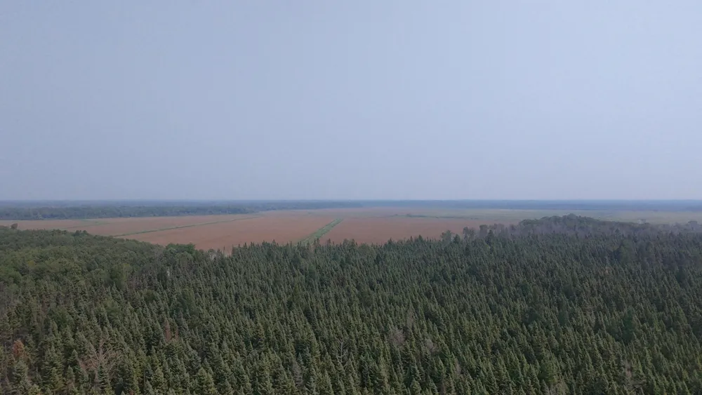 TBD 80 Acres Sunflower Road NE Kelliher, MN 56650