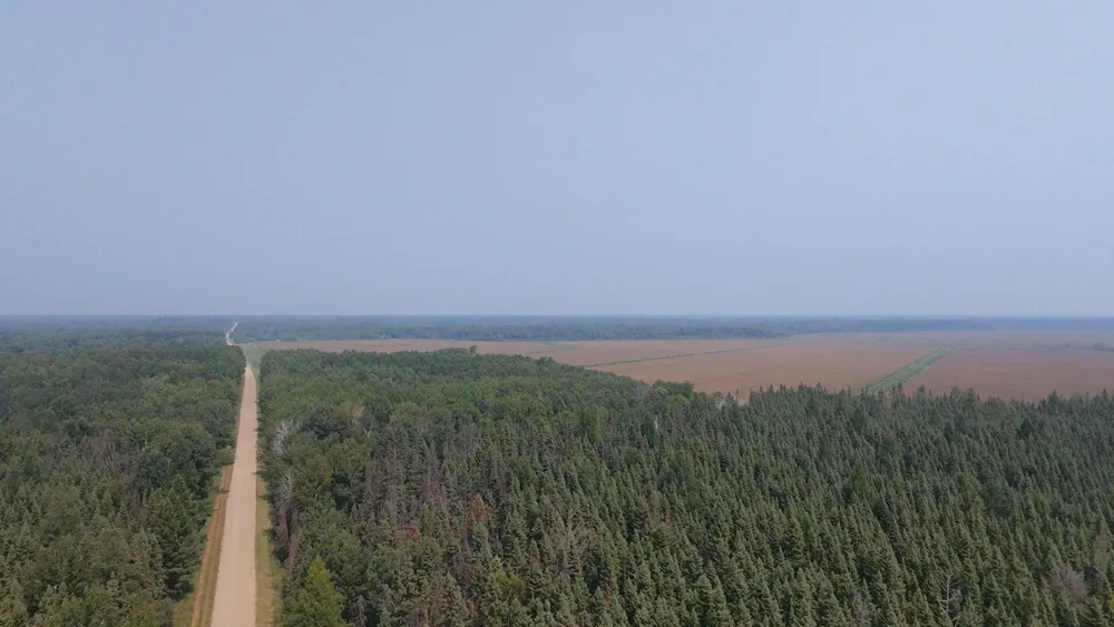 TBD 80 Acres Sunflower Road NE Kelliher, MN 56650
