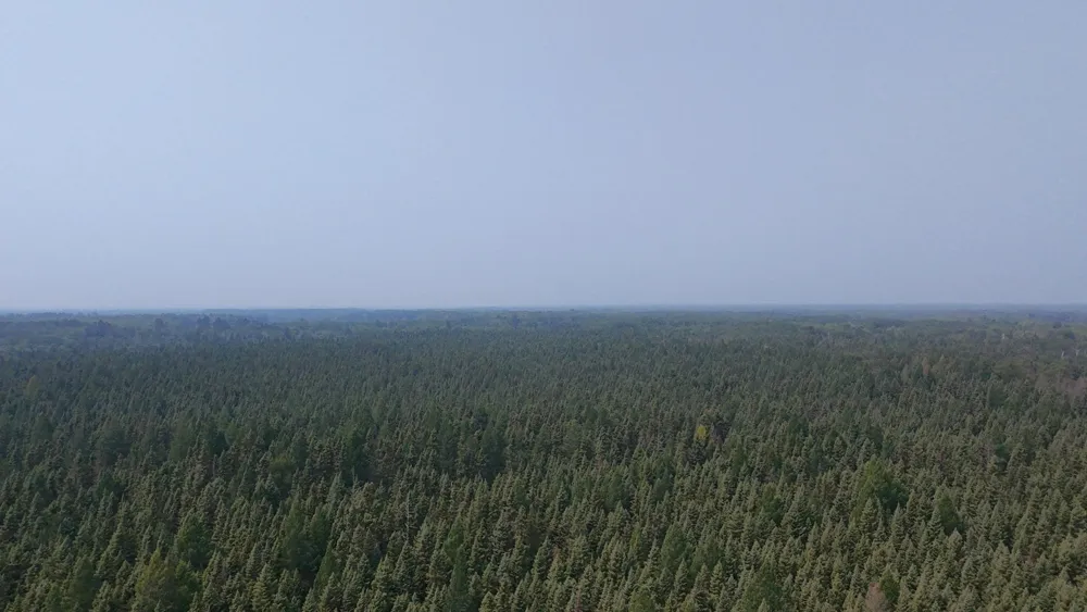TBD 80 Acres Sunflower Road NE Kelliher, MN 56650