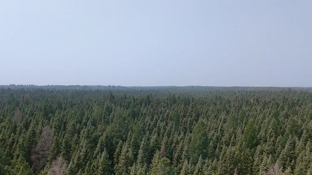 TBD 80 Acres Sunflower Road NE Kelliher, MN 56650