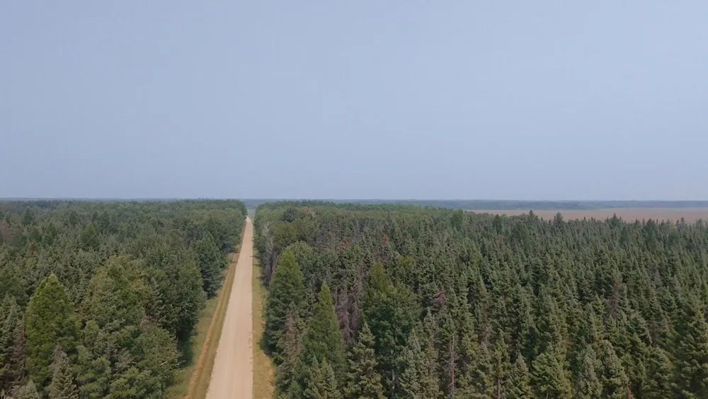 TBD 80 Acres Sunflower Road NE Kelliher, MN 56650