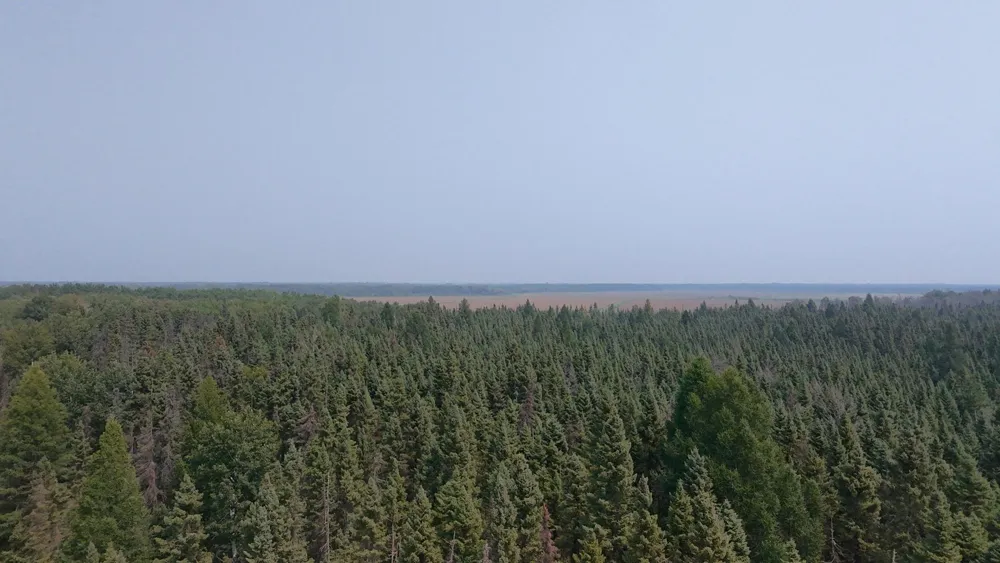 TBD 80 Acres Sunflower Road NE Kelliher, MN 56650