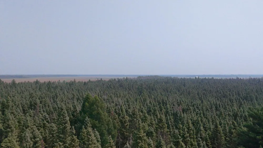 TBD 80 Acres Sunflower Road NE Kelliher, MN 56650