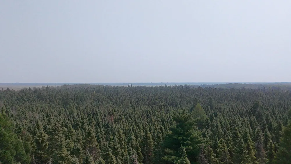 TBD 80 Acres Sunflower Road NE Kelliher, MN 56650
