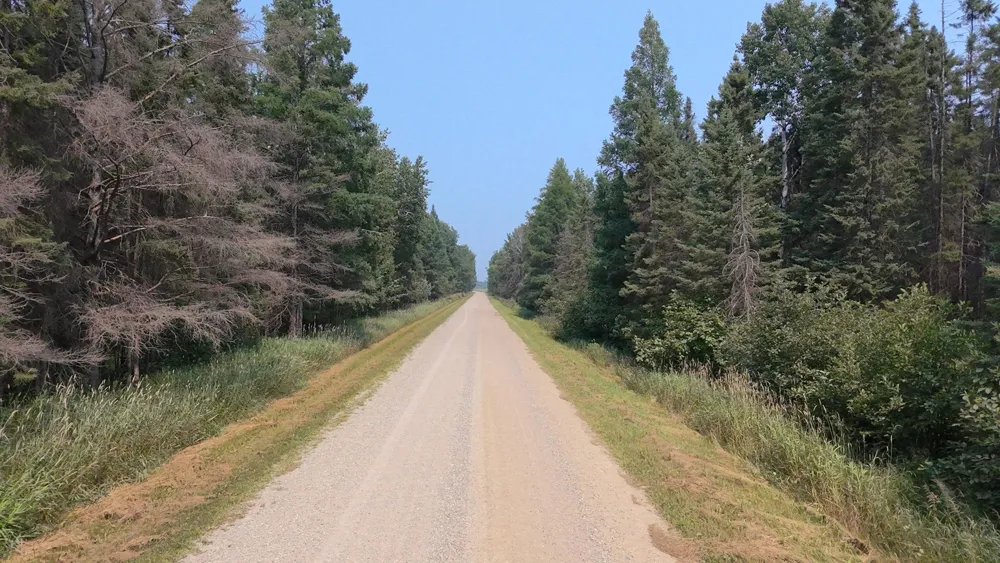 TBD 80 Acres Sunflower Road NE Kelliher, MN 56650