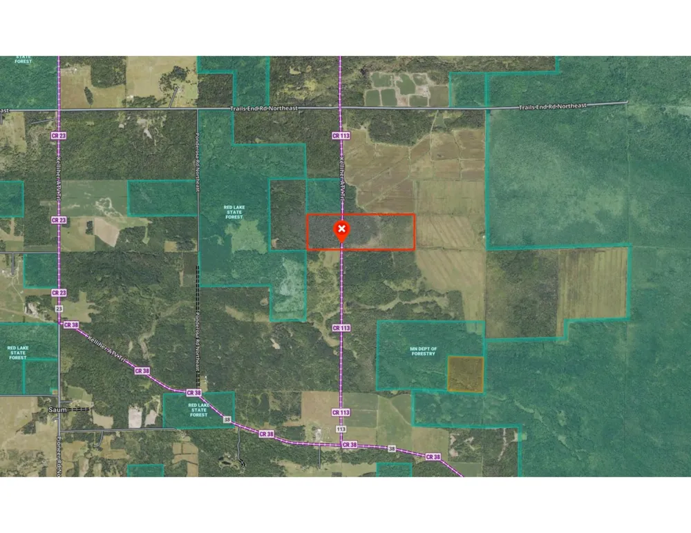 TBD 80 Acres Sunflower Road NE Kelliher, MN 56650