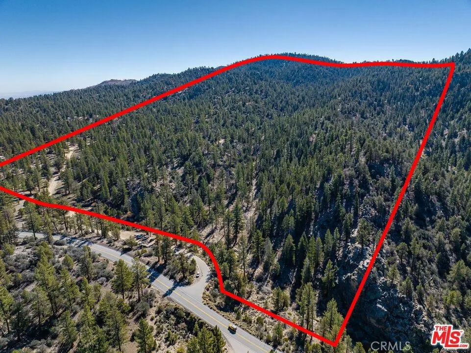 Highway 38 Angelus Oaks, CA 92305